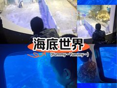 -成都浩海立方海洋公园