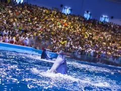 -福州罗源湾海洋世界旅游区