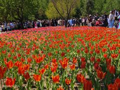 -长春公园(普阳街道)