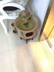 点击看大图 IMG_4906-瓷肌博士·祛痘科技美肤