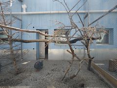 -青藏高原野生动物园