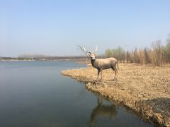 -溱湖国家湿地公园