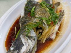 -陈记粤湛鸡饭店
