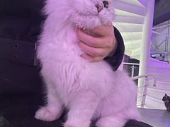 -极木²邸 人与宠物·互动社区