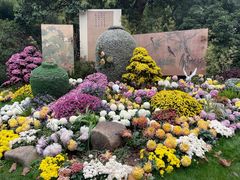 -杭州植物园