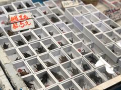 -万商花鸟市场