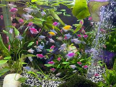 -双季花艺园艺市场(浦东店)