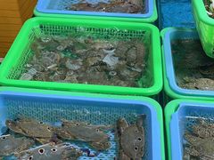 -都斛海鲜街