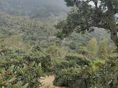 -缥缈峰景区