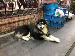 -昱德来·天津菜(河西店)