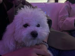 -金矿KTV(新会店)