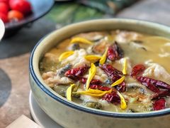 大树酸菜鱼-大树餐厅(红旗街万达店)