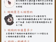 -瑞鹏宠物医院·骨外科·心肾科·肿瘤科(九亭店)