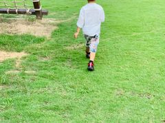 -崇明东平国家森林公园烧烤房车露营地