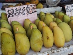 -大湾区中央湿地公园-十九涌
