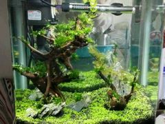 -横店电影城横影巨幕S-PLUS(港悦广场店)