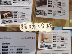 -屋虎猫馆(宝安大仟里店)
