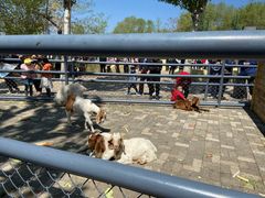 -长白岛森林公园