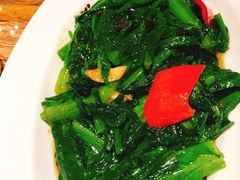 -蝴蝶汇音乐酒馆(罗湖店)