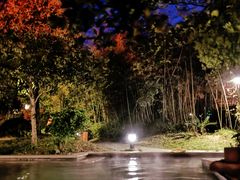 -咸宁万豪温泉谷度假区