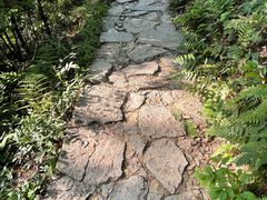 -青龙山国家森林公园