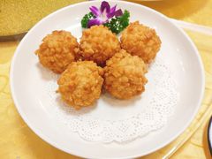 -丁老爷子苏香圆