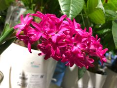 -百伦百货(简阳店)