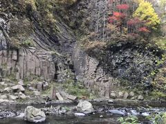-望天鹅景区
