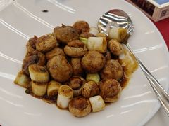 -云顶山庄·粤菜·农家菜(共和店)