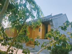-春风习习