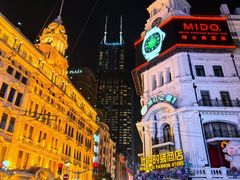 -沈大成(南京东路店)
