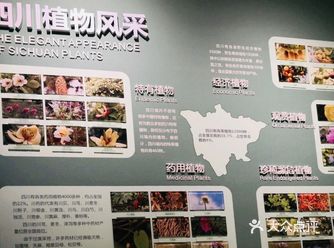 植物园有很多花草树木，郁郁葱葱