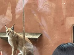 -青藏高原野生动物园