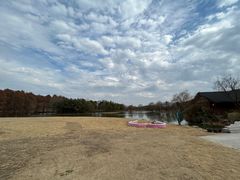 -梁鸿国家湿地公园