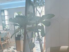 -一尺花园(安和花园店)