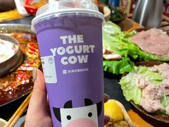 -一只酸奶牛(八一路店)