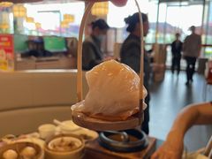 -金鼎轩(鸟巢北辰荟店)