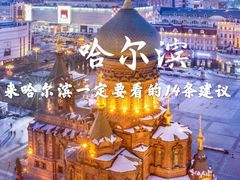 -哈尔滨波塞冬海底世界
