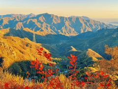 -大岭沟猕猴桃谷风景区