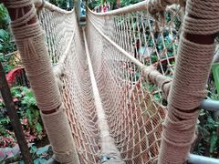 -正佳雨林生态植物园