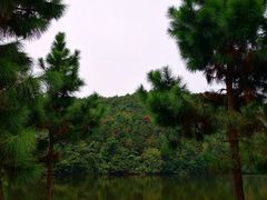 -南京市无想山景区