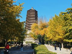 -玲珑塔公园
