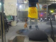 -银峰农庄·特色烧鸡·鲜无花果浸鸡