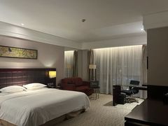 -上海浦东国际旅游度假区绿地铂骊酒店