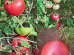 -西部长青自然儿童乐园