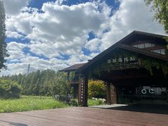 -黄海国家森林公园