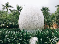 -100蛋泥浆浴