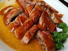 烧鹅-大门水乡·顺德菜