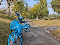 -白鹭湾湿地公园