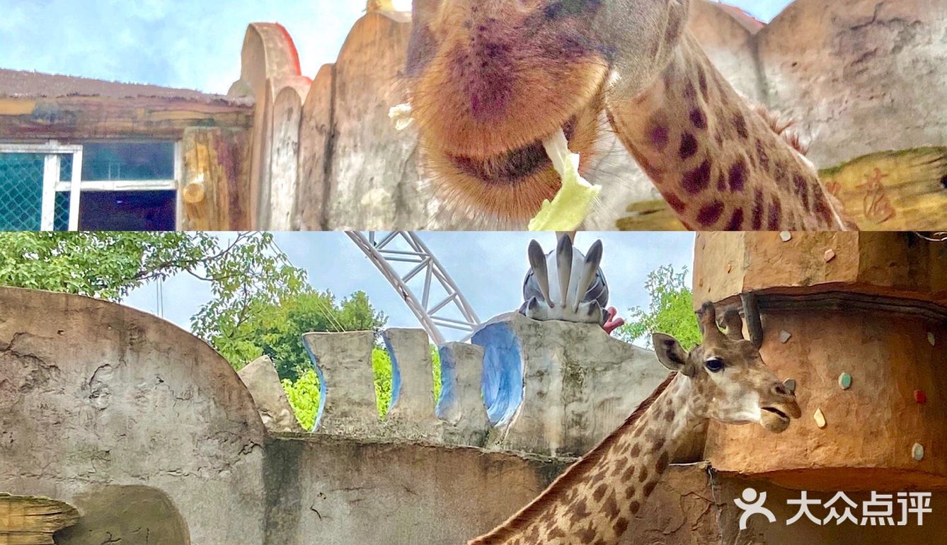 武汉溜娃好去处🔥孩子最爱‼️建议收藏㊙️